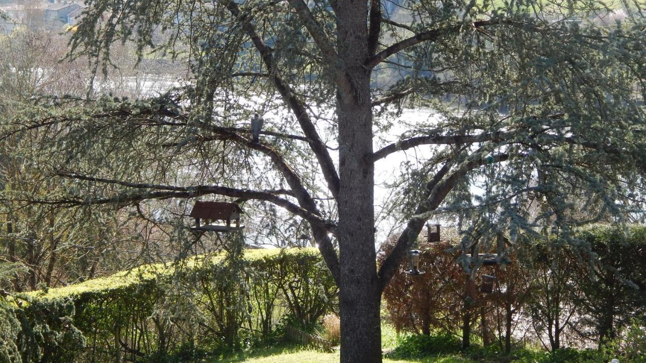 The Petite Chalet Chambre D'Hotes L'Isle-Jourdain  Экстерьер фото